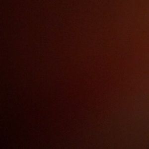 Meet your Posher, Raeleigh